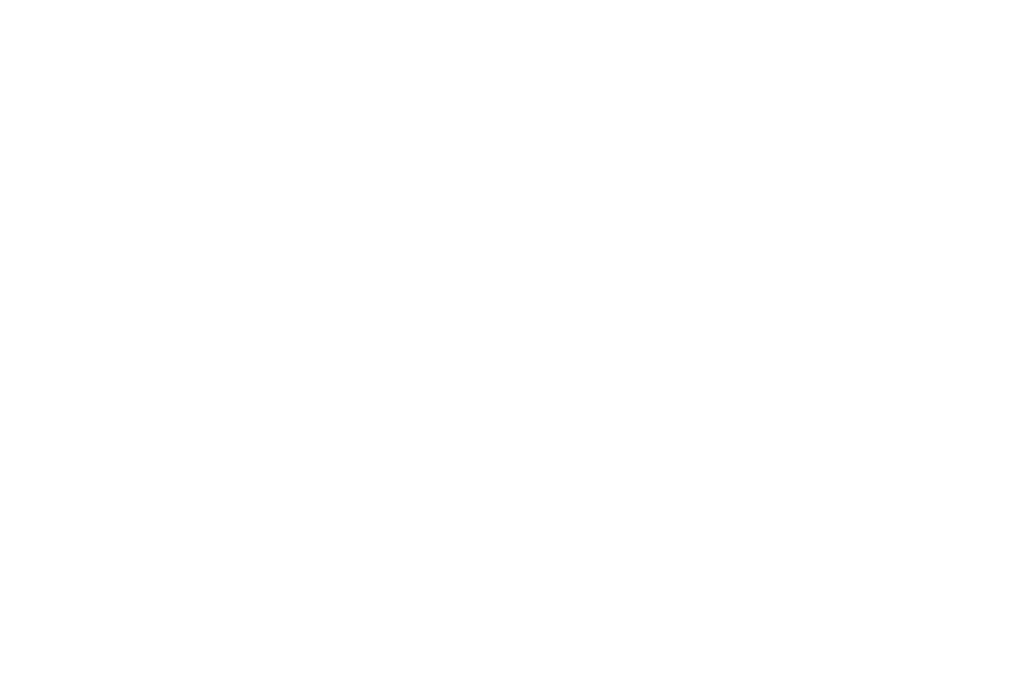 Source Geothermal geosteering champions
